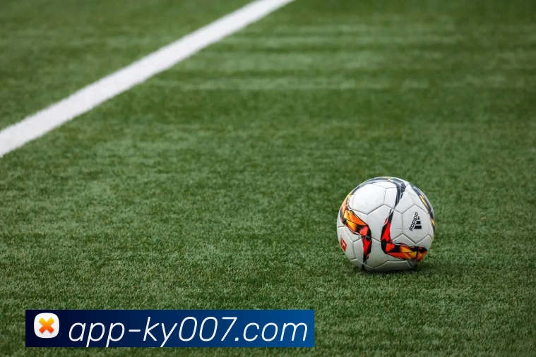 App 展示图